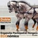 Enganche pechopetral a la Húngara doble económico