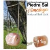Zaldi piedra sal del Himalaya