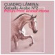 Lámina caballo árabe