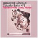 Lámina caballo salto