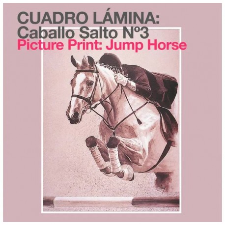 Lámina caballo salto