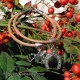 Pulsera caballo ARTAX