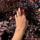 Anillo caballo NIEVE TEMPRANA