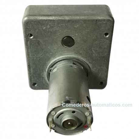 Motor reductor para Equimatic/Dogsimatic