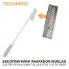 Raspador muelas escofina