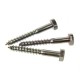 Tornillo barraquero 10x150mm
